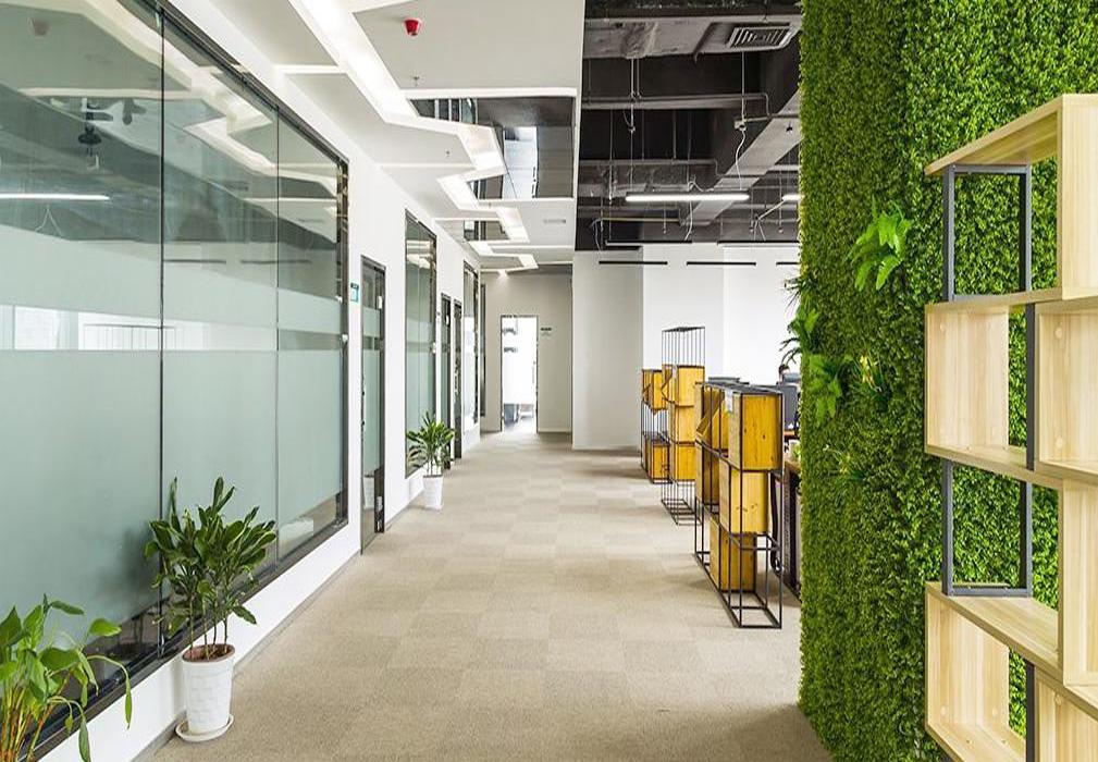 Shenzhen oealy Electronics Co,Ltd
